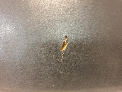 Extrabild2 på Sadel från en Honda CBR 900 RR -2003 motorcykel.