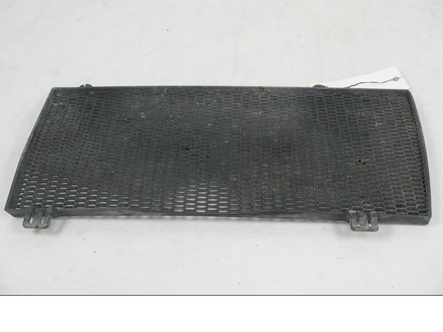 Höger sida på Vattenkylgaller från en BMW F 800 GS -2008 motorcykel.