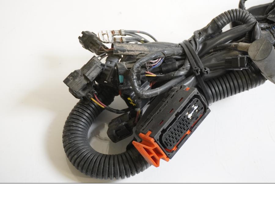 Baksidan på Kabelstam från en Triumph Tiger 800 -2011 motorcykel.