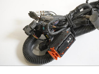 Baksidan på Kabelstam från en Triumph Tiger 800 -2011 motorcykel.