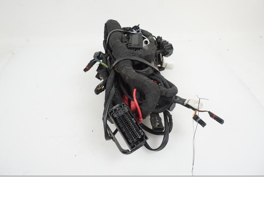 Baksidan på Kabelstam från en BMW R Ninet -2017 motorcykel.