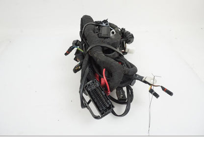 Baksidan på Kabelstam från en BMW R Ninet -2017 motorcykel.