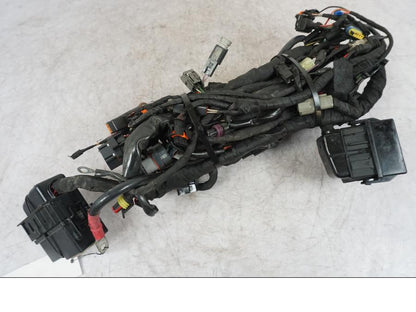 Extrabild3 på Kabelstam från en Buell 1125 R -2008 motorcykel.