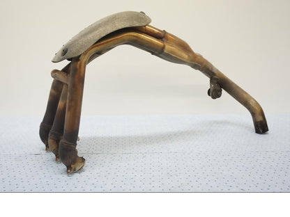 Framsidan på Grenrör från en Triumph Tiger -2001 motorcykel.