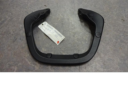 Vänster sida på Passagerarhandtag från en Triumph Sprint ST -2007 motorcykel.