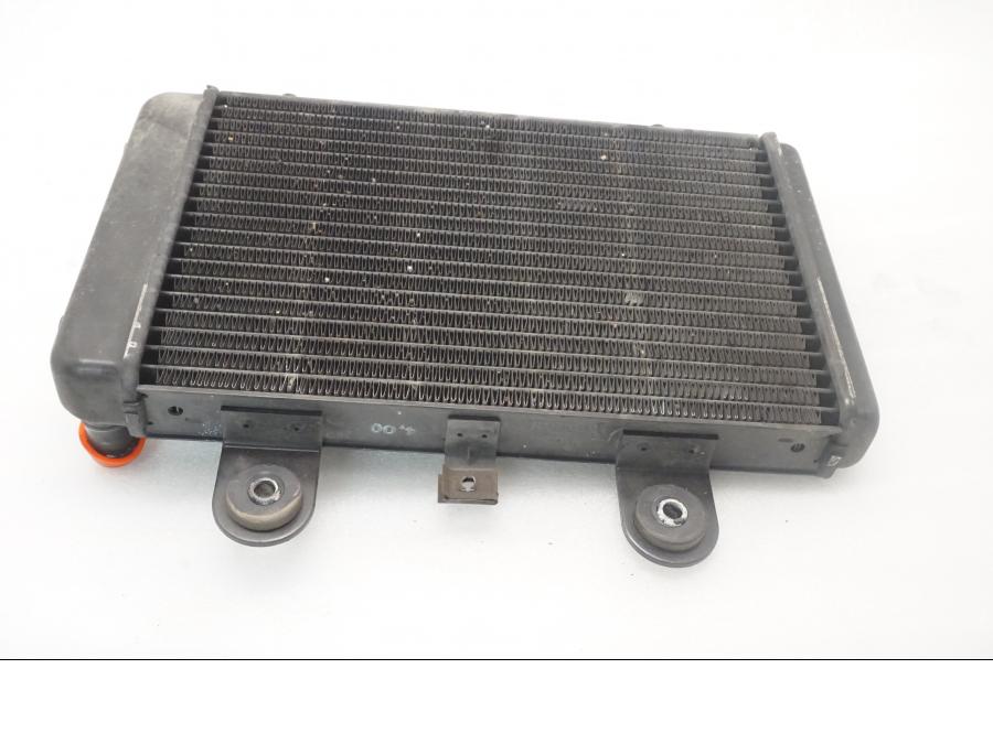 Framsidan på Vattenkyl från en Triumph Legend TT -2000 motorcykel.