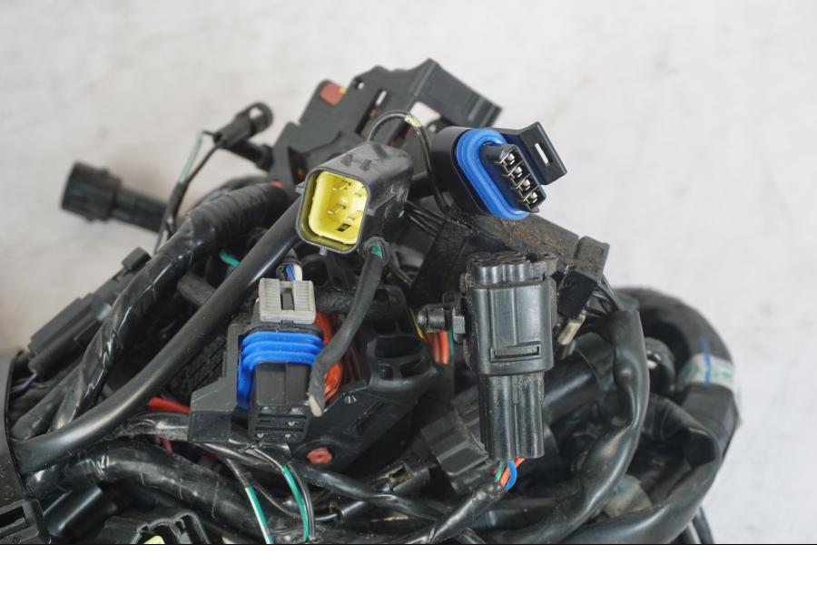 Baksidan på Kabelstam från en Triumph Tiger 1200 -2018 motorcykel.