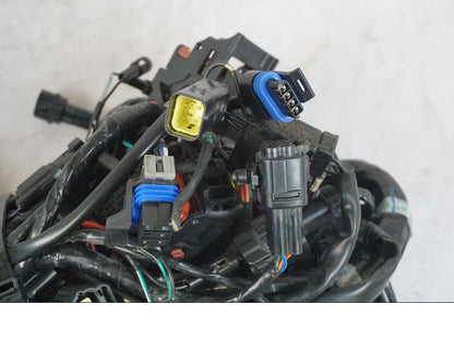 Baksidan på Kabelstam från en Triumph Tiger 1200 -2018 motorcykel.