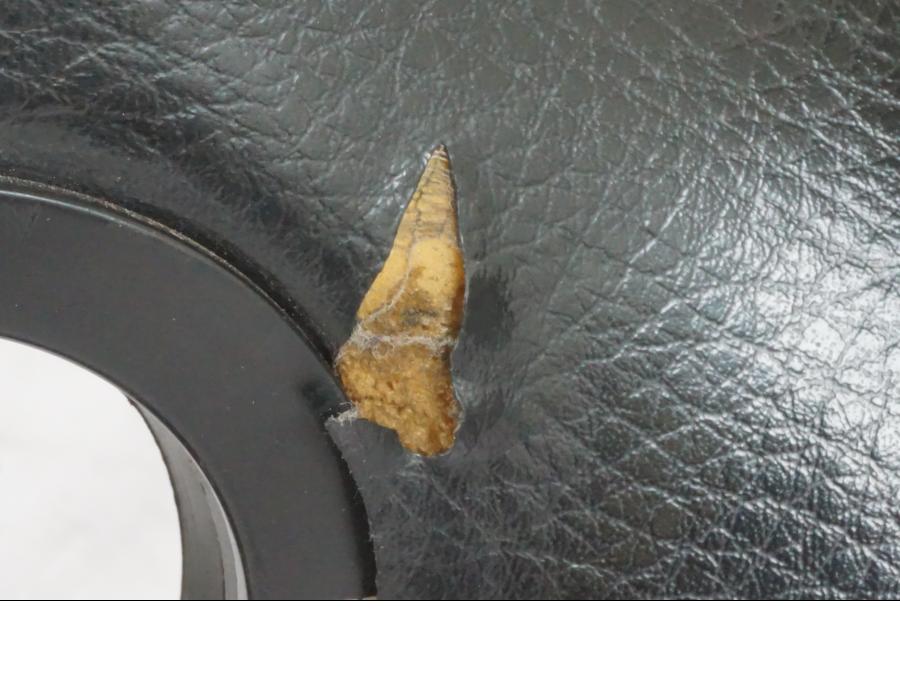 Höger sida på Sadel från en Honda CBR 1000 F -1999 motorcykel.