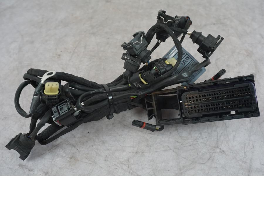 Framsidan på Kablage från en BMW F 800 R -2018 motorcykel.