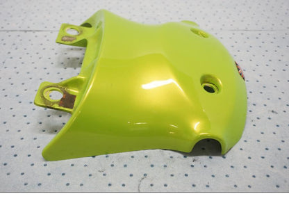 Baksidan på Bakvinge från en Triumph Tiger -2001 motorcykel.