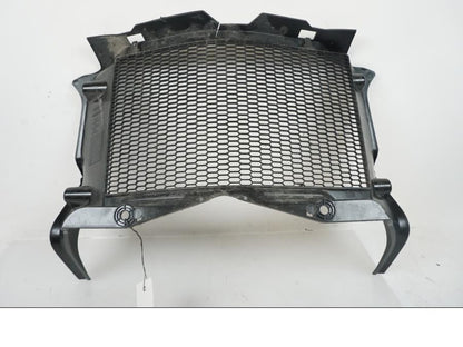 Extrabild1 på Vattenkylgaller från en BMW F 750 GS -2019 motorcykel.