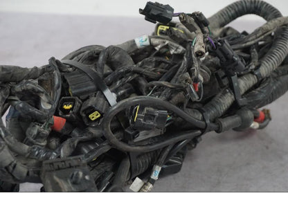 Extrabild1 på Kabelstam från en Triumph Tiger Explorer -2016 motorcykel.