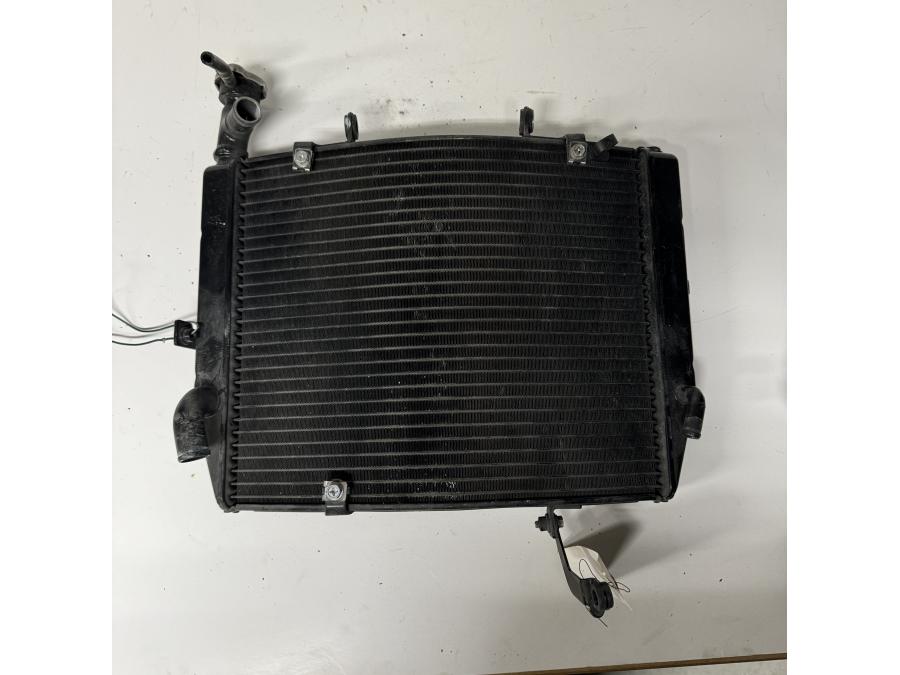 Baksidan på Vattenkyl från en Triumph Daytona 675 -2011 motorcykel.