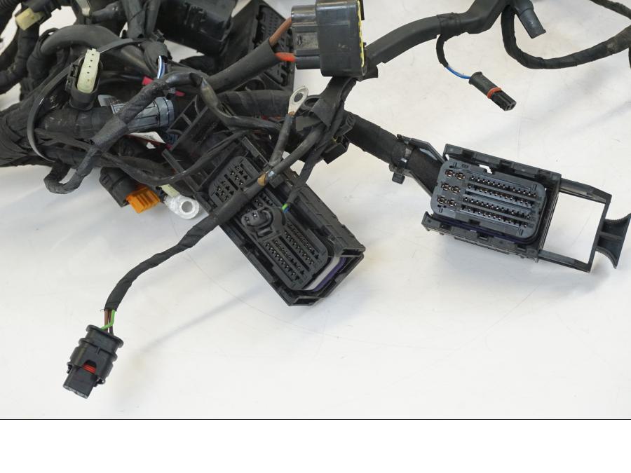 Baksidan på Kabelstam från en BMW R 1250 GS -2019 motorcykel.