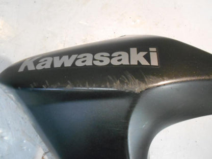 Baksidan på Sidkåpa från en Kawasaki ER-6N -2010 motorcykel.