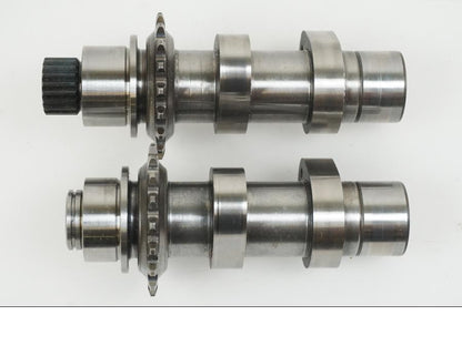 Vänster sida på Kamaxel från en H-D Touring Road King Classic FLHRCI -2007 motorcykel.