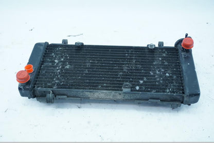 Framsidan på Vattenkyl från en Honda VFR 750 -1992 motorcykel.