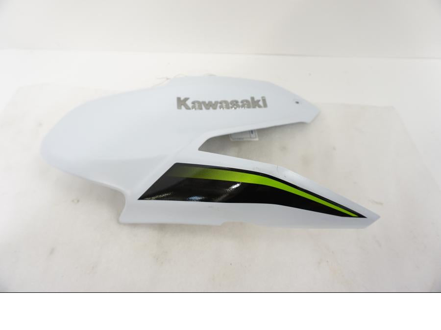 Baksidan på Bensintankskåpa från en Kawasaki Z 900 -2019 motorcykel.