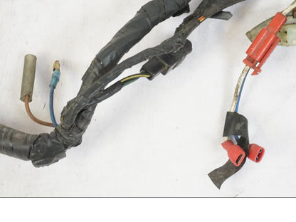 Extrabild1 på Kabelstam från en Kawasaki KL 650A -1987 motorcykel.