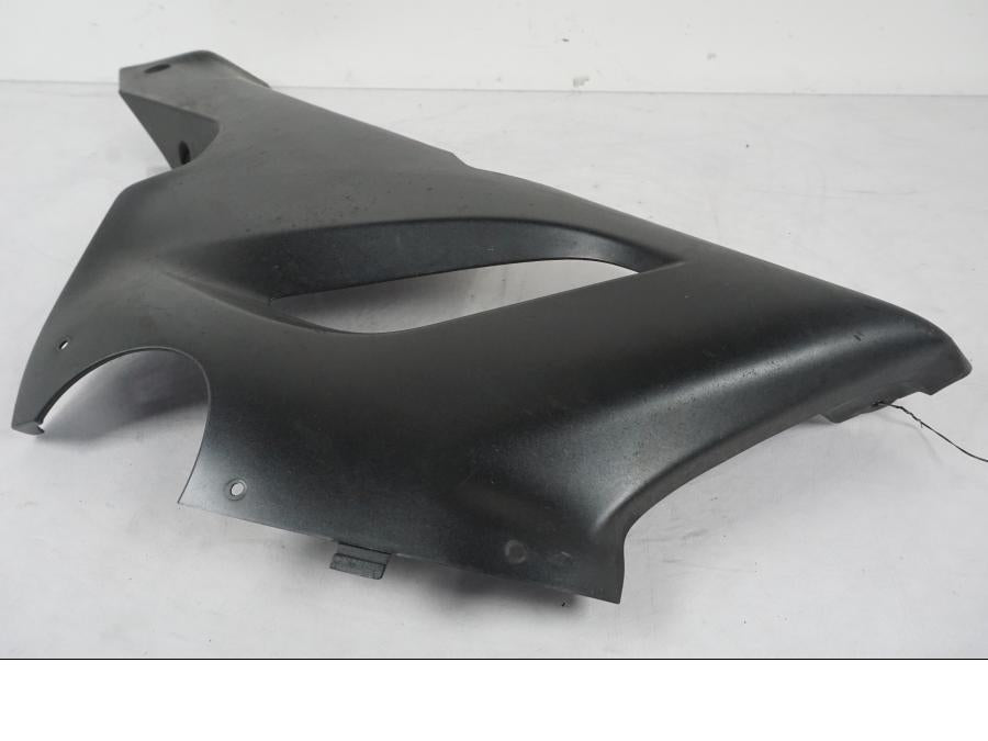 Baksidan på Magkåpa från en Kawasaki ZX-6R -2005 motorcykel.