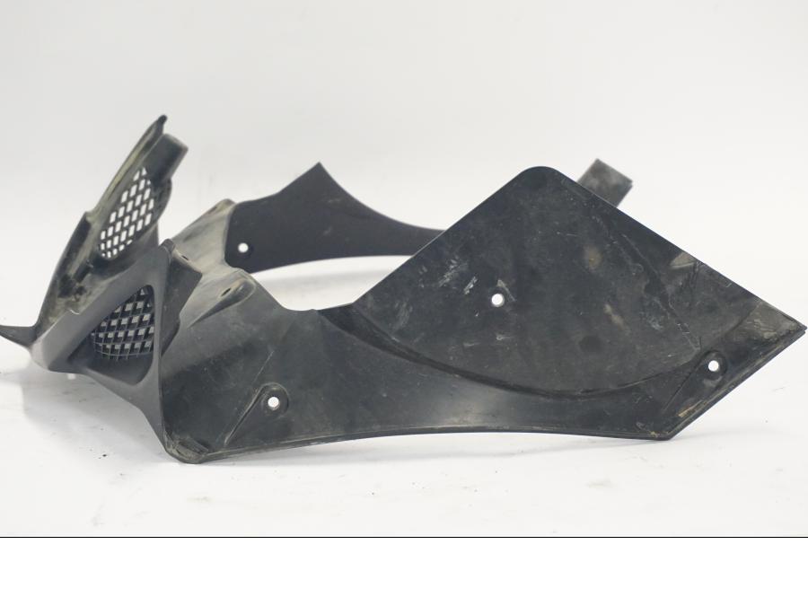 Baksidan på Frontkåpa från en Suzuki DL 1000 -2003 motorcykel.