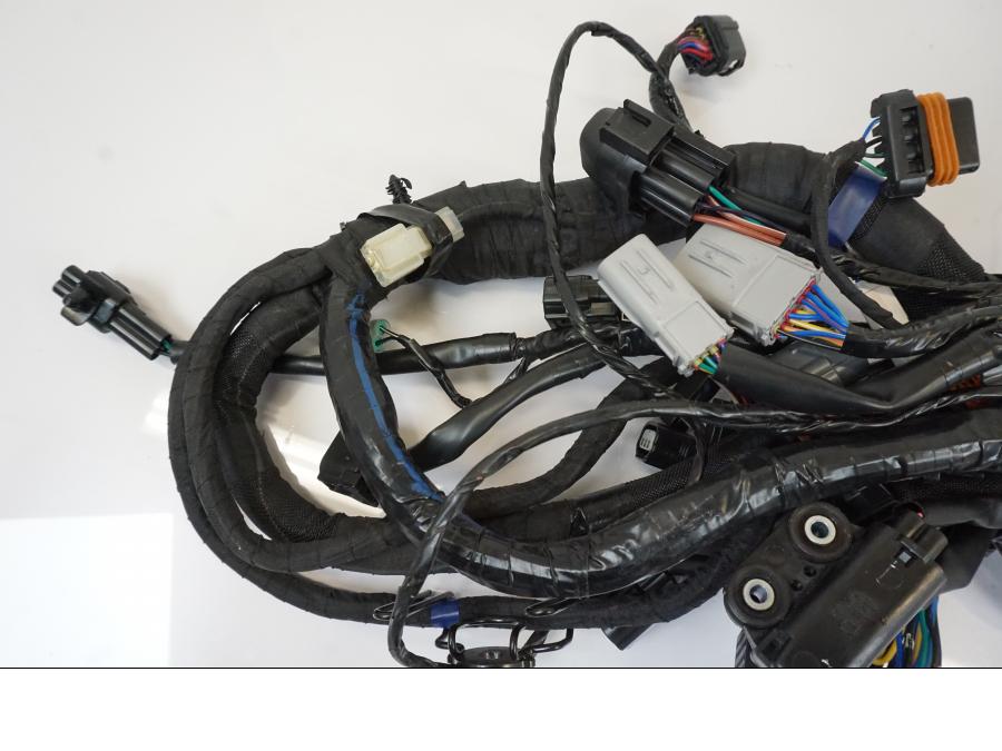 Extrabild4 på Kabelstam från en Triumph Trident -2021 motorcykel.