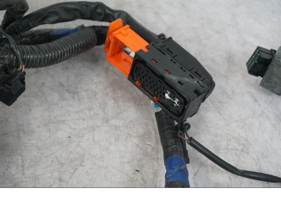 Extrabild4 på Kabelstam från en Triumph Tiger -2009 motorcykel.